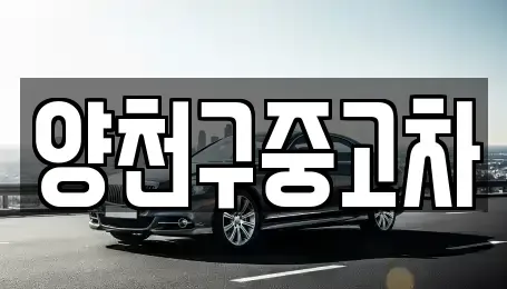 서울 양천구 목동 중고차매매 전문 양천구중고차