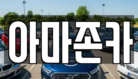 서울 영등포구 여의도동 장기렌트카 전문 아마존카