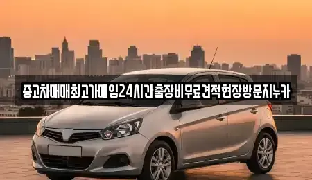 서울 영등포구 여의도동 중고차매입 전문 중고차매매최고가매입24시간출장비무료견적현장방문지누카