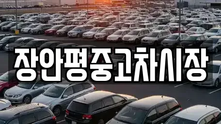 서울 종로구 내수동 중고차 전문 장안평중고차시장