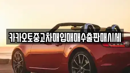 서울 종로구 내수동 중고차 전문 카카오토중고차매입매매수출판매시세