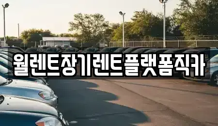 서울 종로구 중학동 장기렌트카 전문 월렌트장기렌트플랫폼직카