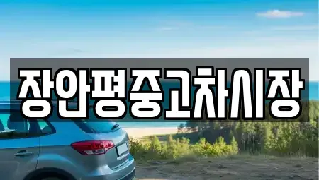 서울 종로구 중학동 중고차 전문 장안평중고차시장
