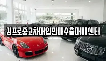 서울 종로구 중학동 중고차매입 전문 김프로중고차매입판매수출매매센터