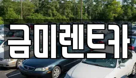 서울 종로구 행촌동 렌트카 전문 금미렌트카