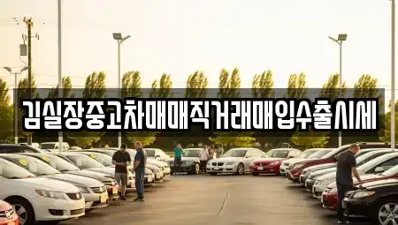 서울 종로구 행촌동 중고차 전문 김실장중고차매매직거래매입수출시세