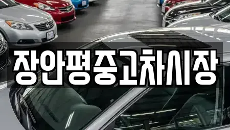 서울 종로구 행촌동 중고차 전문 장안평중고차시장