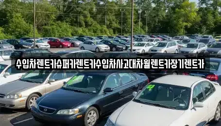 서울 중구 회현동1가 장기렌트카 전문 수입차렌트카슈퍼카렌트카수입차사고대차월렌트카장기렌트카