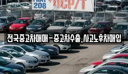 서울 중구 회현동1가 중고차매입 전문 전국중고차매매-중고차수출,사고노후차매입