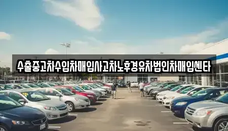 서울특별시 강남구 압구정동 중고차매입 전문 수출중고차수입차매입사고차노후경유차법인차매입센타