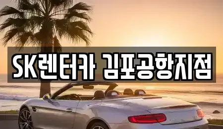 서울특별시 강서구 오쇠동 렌트카 전문 SK렌터카 김포공항지점