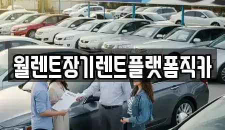서울특별시 강서구 오쇠동 장기렌트카 전문 월렌트장기렌트플랫폼직카