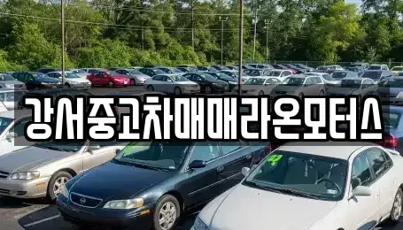 서울특별시 강서구 오쇠동 중고차 전문 강서중고차매매라온모터스
