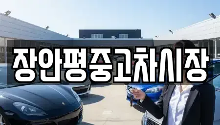 서울특별시 강서구 오쇠동 중고차 전문 장안평중고차시장