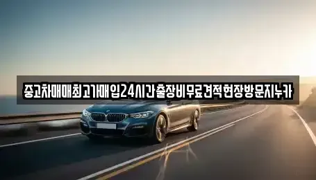서울특별시 강서구 오쇠동 중고차매입 전문 중고차매매최고가매입24시간출장비무료견적현장방문지누카