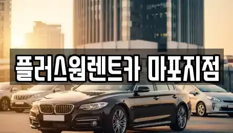 서울특별시 마포구 렌트카 전문 플러스원렌트카 마포지점