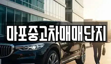 서울특별시 마포구 중고차 전문 마포중고차매매단지