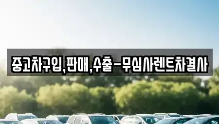 서울특별시 마포구 중고차매매 전문 중고차구입,판매,수출-무심사렌트차결사