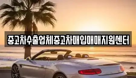 서울특별시 마포구 중고차매입 전문 중고차수출업체중고차매입매매지원센터