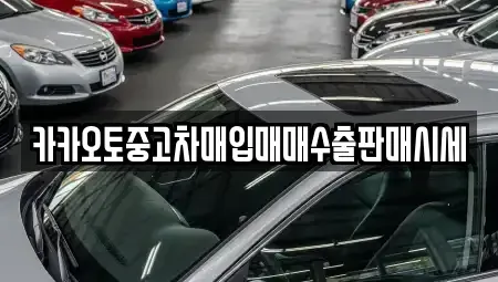 서울특별시 마포구 중고차매입 전문 카카오토중고차매입매매수출판매시세