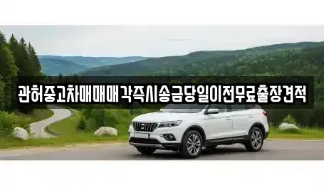 서울특별시 서대문구 홍은동 중고차 전문 관허중고차매매매각즉시송금당일이전무료출장견적