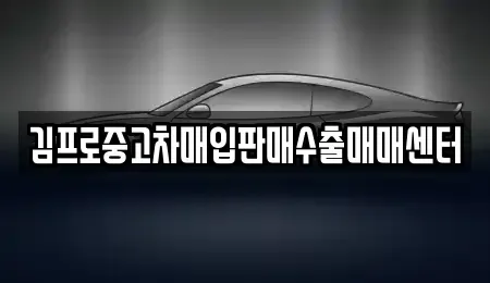서울특별시 서대문구 홍은동 중고차매입 전문 김프로중고차매입판매수출매매센터