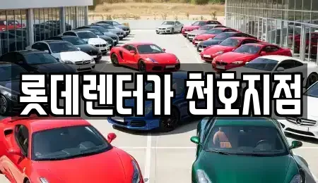 서울특별시 송파구 방이동 단기렌트카 전문 롯데렌터카 천호지점