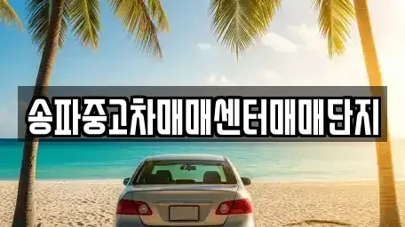 서울특별시 송파구 방이동 중고차 전문 송파중고차매매센터매매단지