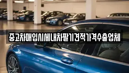 서울특별시 송파구 방이동 중고차매입 전문 중고차매입시세내차팔기견적가격수출업체