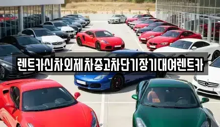 서울특별시 용산구 신창동 단기렌트카 전문 렌트카신차외제차중고차단기장기대여렌트카
