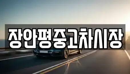 서울특별시 용산구 신창동 중고차매매 전문 장안평중고차시장