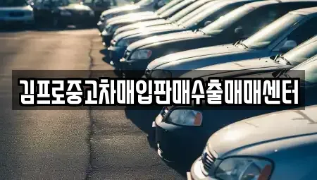 서울특별시 용산구 신창동 중고차매입 전문 김프로중고차매입판매수출매매센터