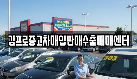 서울특별시 용산구 청파동2가 중고차매입 전문 김프로중고차매입판매수출매매센터