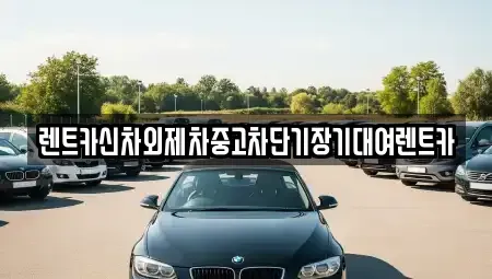 서울특별시 중구 북창동 렌트카 전문 렌트카신차외제차중고차단기장기대여렌트카