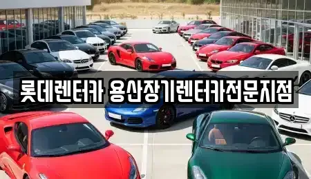 서울특별시 중구 북창동 장기렌트카 전문 롯데렌터카 용산장기렌터카전문지점