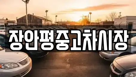 서울특별시 중구 북창동 중고차 전문 장안평중고차시장