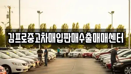 서울특별시 중구 북창동 중고차매입 전문 김프로중고차매입판매수출매매센터