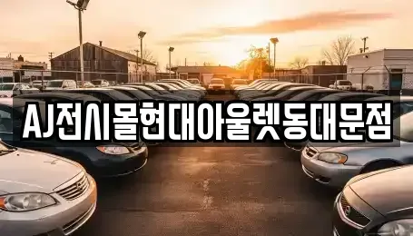 서울특별시 중구 오장동 렌트카 전문 AJ전시몰현대아울렛동대문점