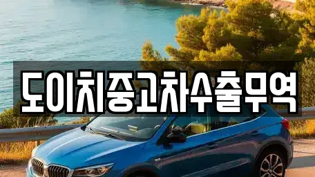 서울특별시 중구 오장동 중고차 전문 도이치중고차수출무역