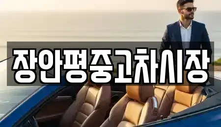 서울특별시 중구 오장동 중고차매매 전문 장안평중고차시장