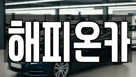서울특별시 중구 오장동 중고차매매 전문 해피온카