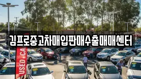 서울특별시 중구 오장동 중고차매입 전문 김프로중고차매입판매수출매매센터