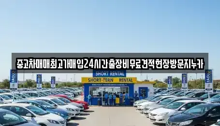서울특별시 중구 오장동 중고차매입 전문 중고차매매최고가매입24시간출장비무료견적현장방문지누카