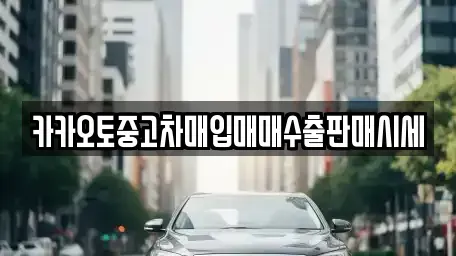 서울특별시 중구 오장동 중고차매입 전문 카카오토중고차매입매매수출판매시세