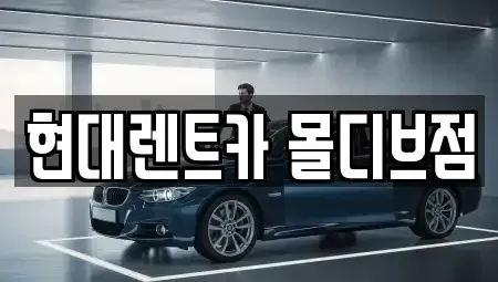 세종 도담동 장기렌트카 전문 현대렌트카 몰디브점