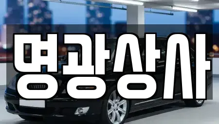 세종 도담동 중고차 전문 명광상사
