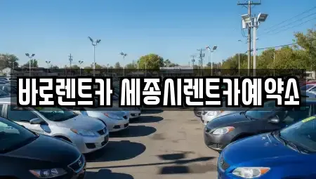 세종 렌트카 전문 바로렌트카 세종시렌트카예약소