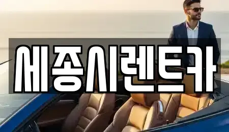 세종 렌트카 전문 세종시렌트카