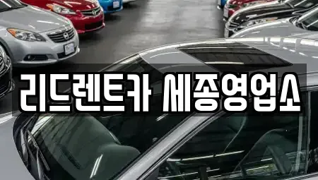 세종 반곡동 렌트카 전문 리드렌트카 세종영업소