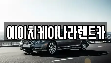 세종 반곡동 렌트카 전문 에이치케이나라렌트카